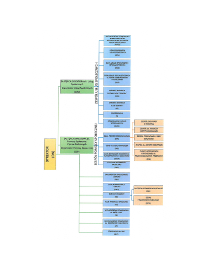 Schemat organizacyjny CUS